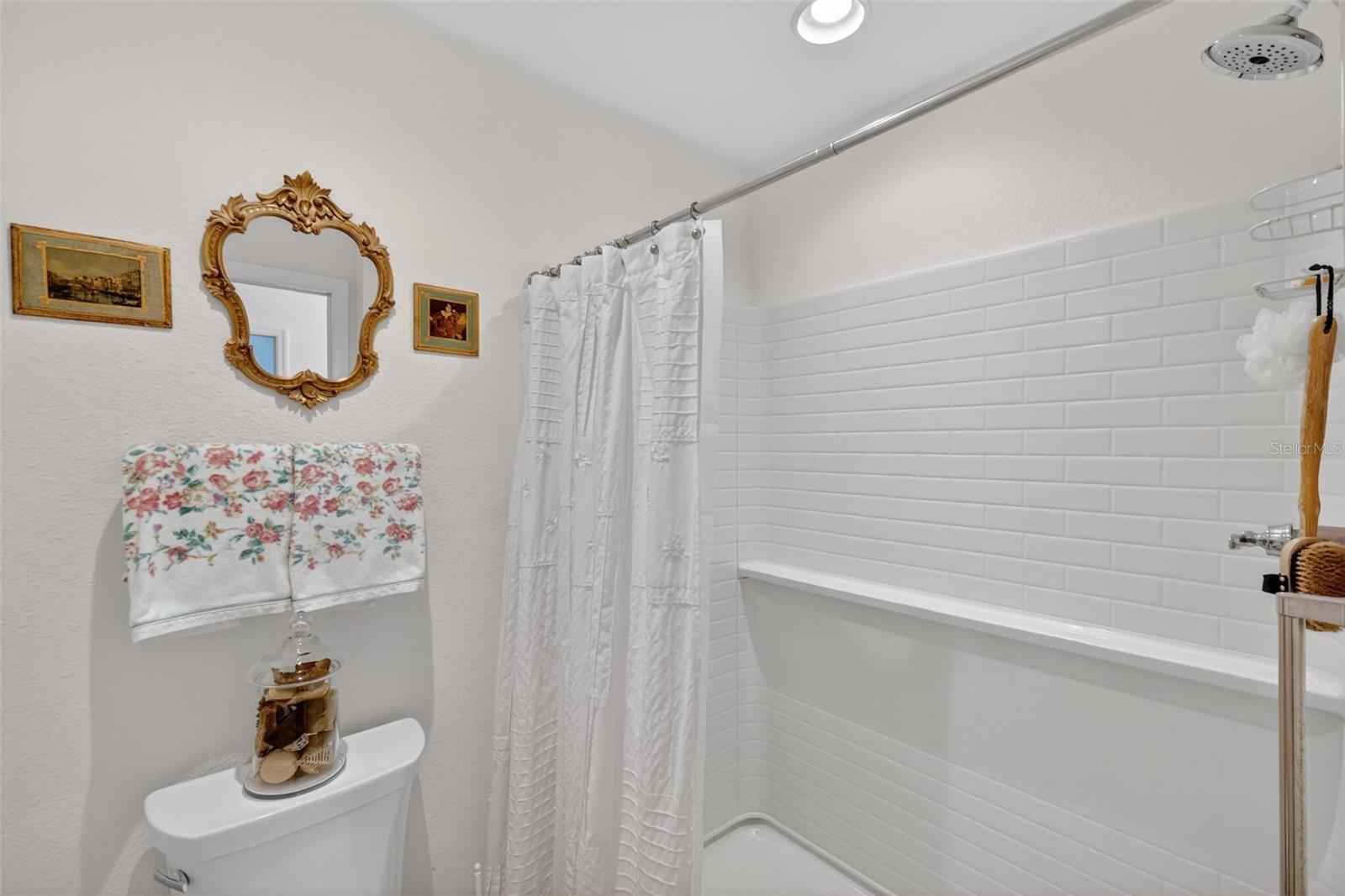 1599 OLIVIA TER, THE VILLAGES, FL, 34762