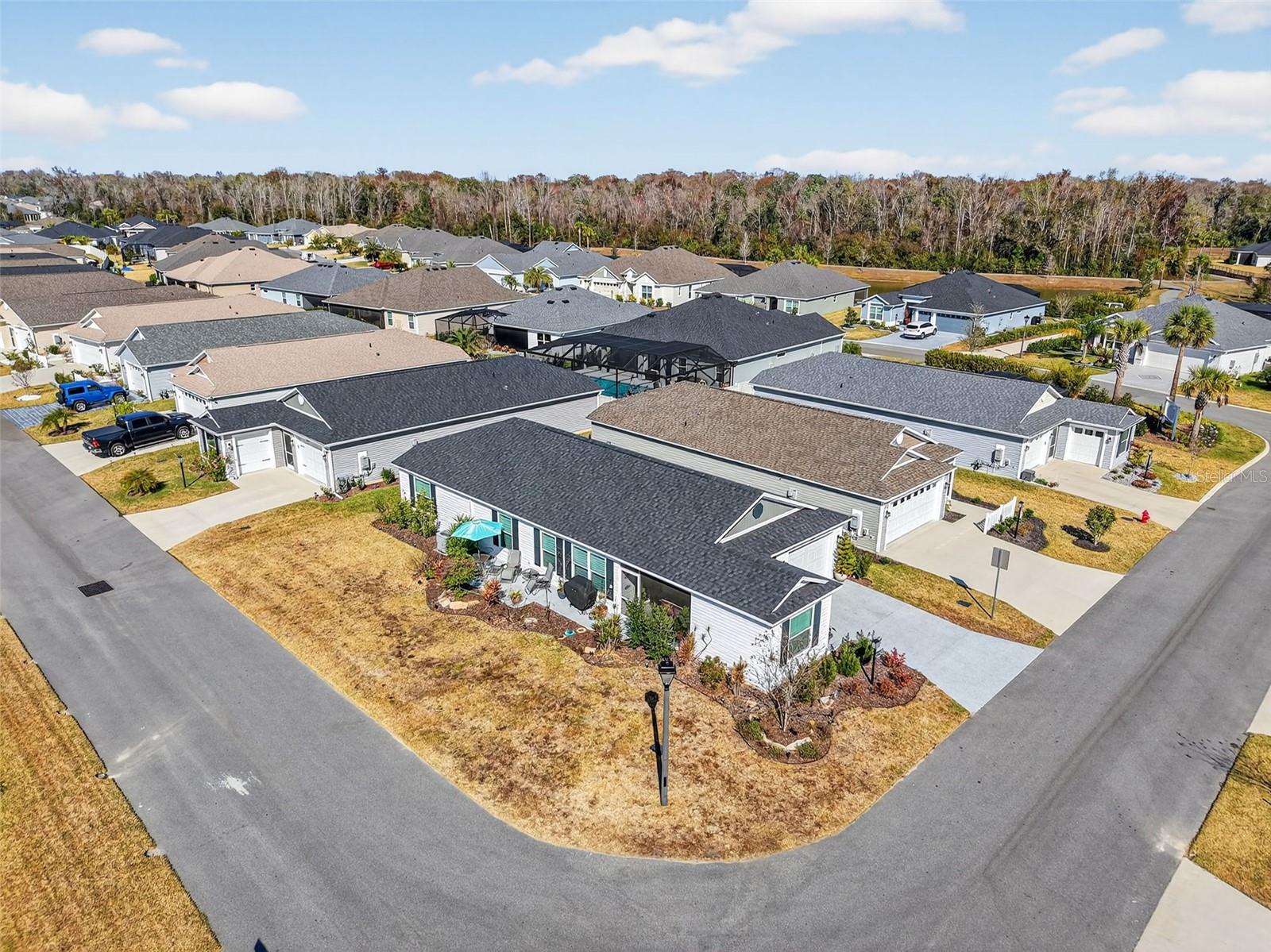 1599 OLIVIA TER, THE VILLAGES, FL, 34762