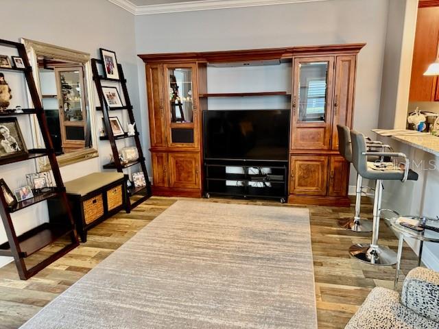 17340 CHATEAU PINE WAY, CLERMONT, FL, 34711