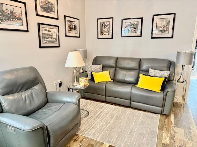 17340 CHATEAU PINE WAY, CLERMONT, FL, 34711