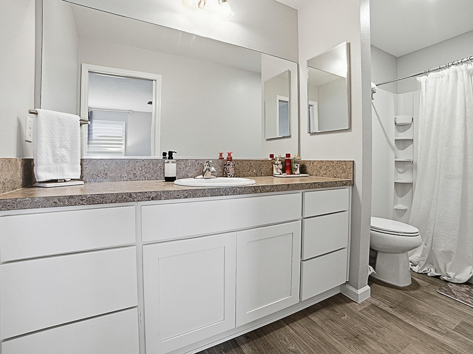 3319 ROHAN RD, OXFORD, FL, 34484