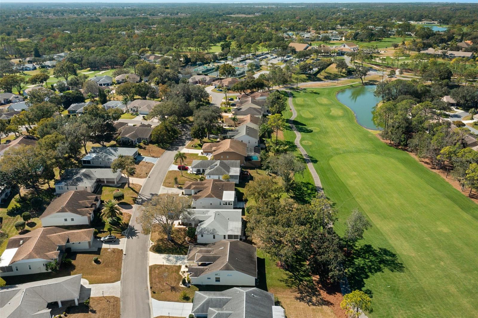 8009 BLUE SKIES DR, SPRING HILL, FL, 34606