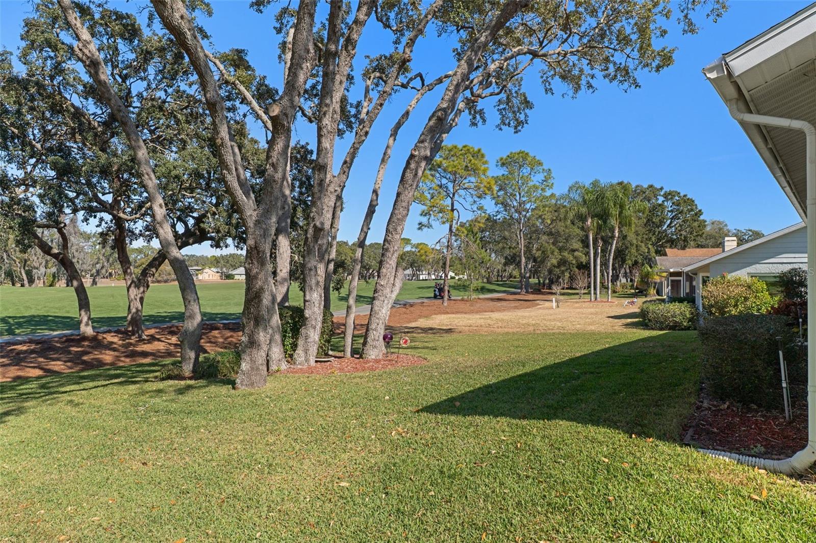 8009 BLUE SKIES DR, SPRING HILL, FL, 34606