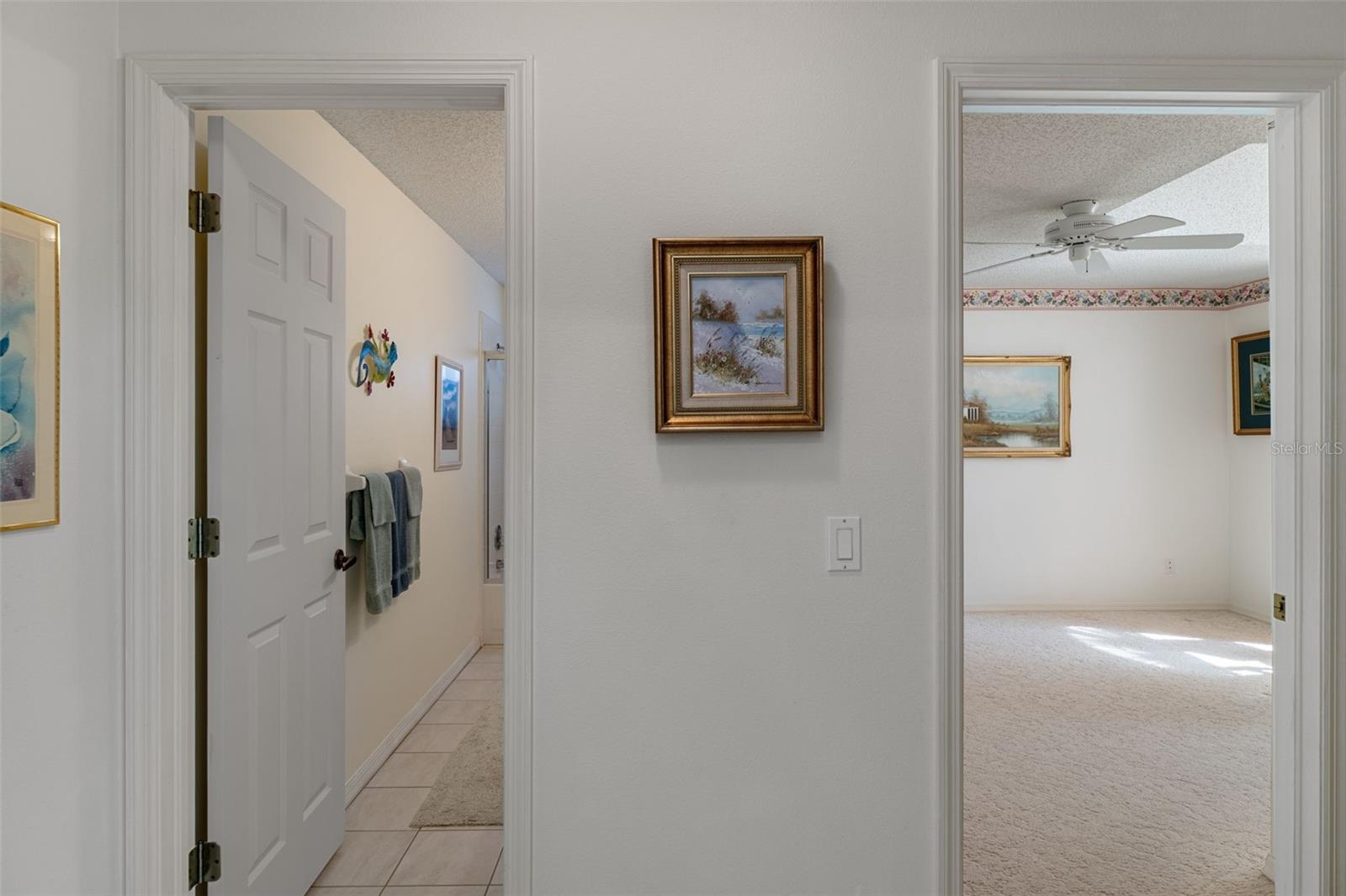 8009 BLUE SKIES DR, SPRING HILL, FL, 34606