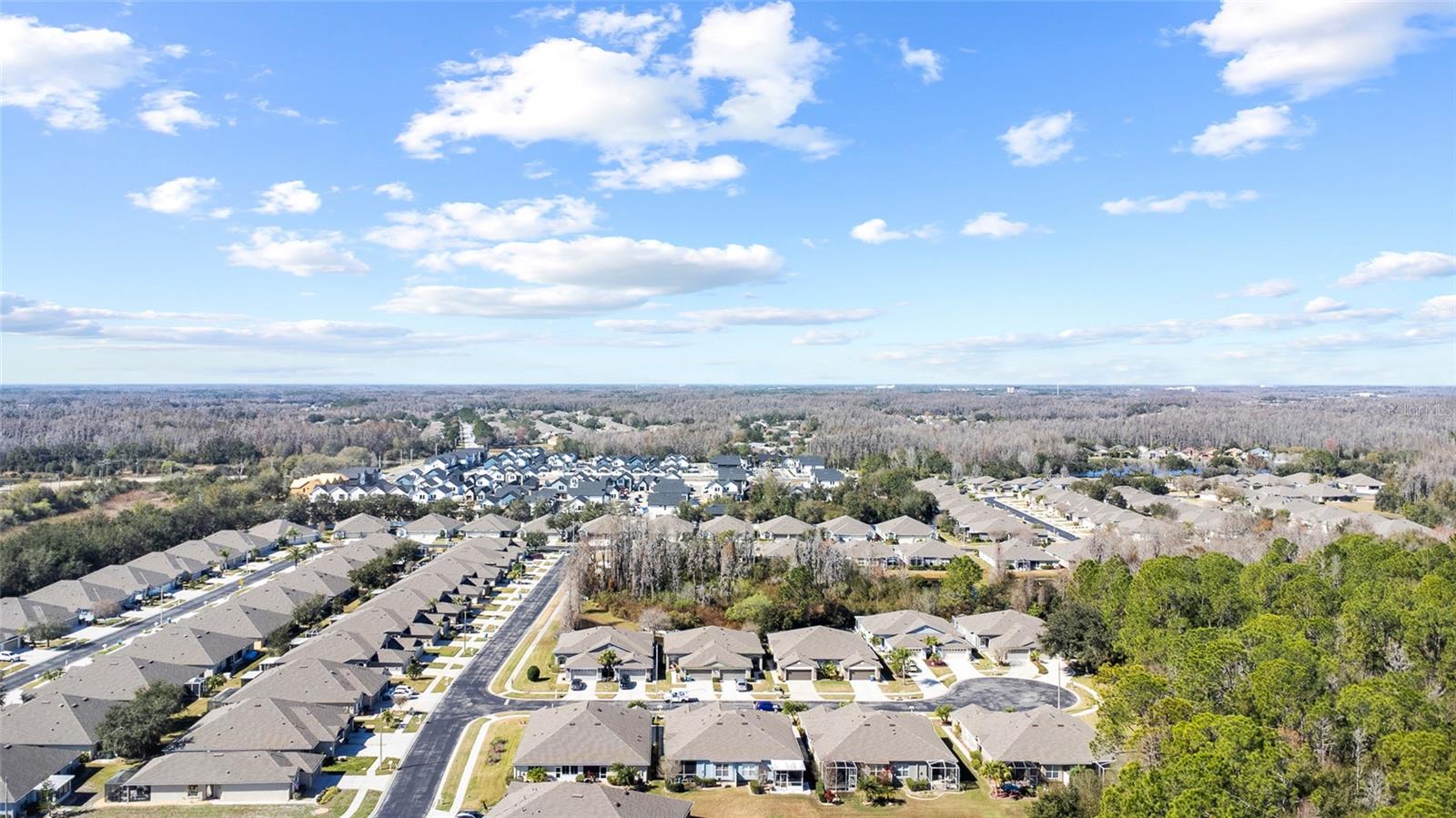 1118 WRIGHT SWYNDE CT, WESLEY CHAPEL, FL, 33543