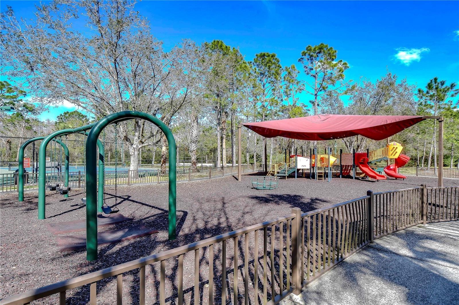 1118 WRIGHT SWYNDE CT, WESLEY CHAPEL, FL, 33543