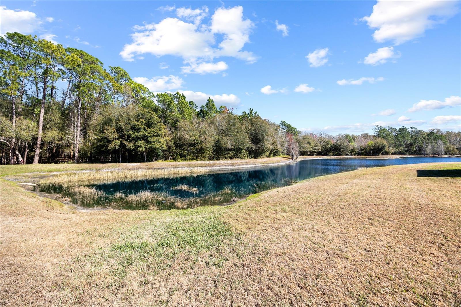 1118 WRIGHT SWYNDE CT, WESLEY CHAPEL, FL, 33543