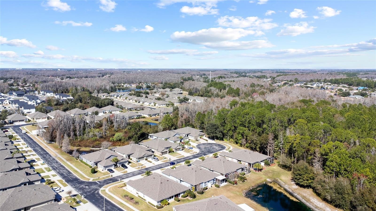 1118 WRIGHT SWYNDE CT, WESLEY CHAPEL, FL, 33543