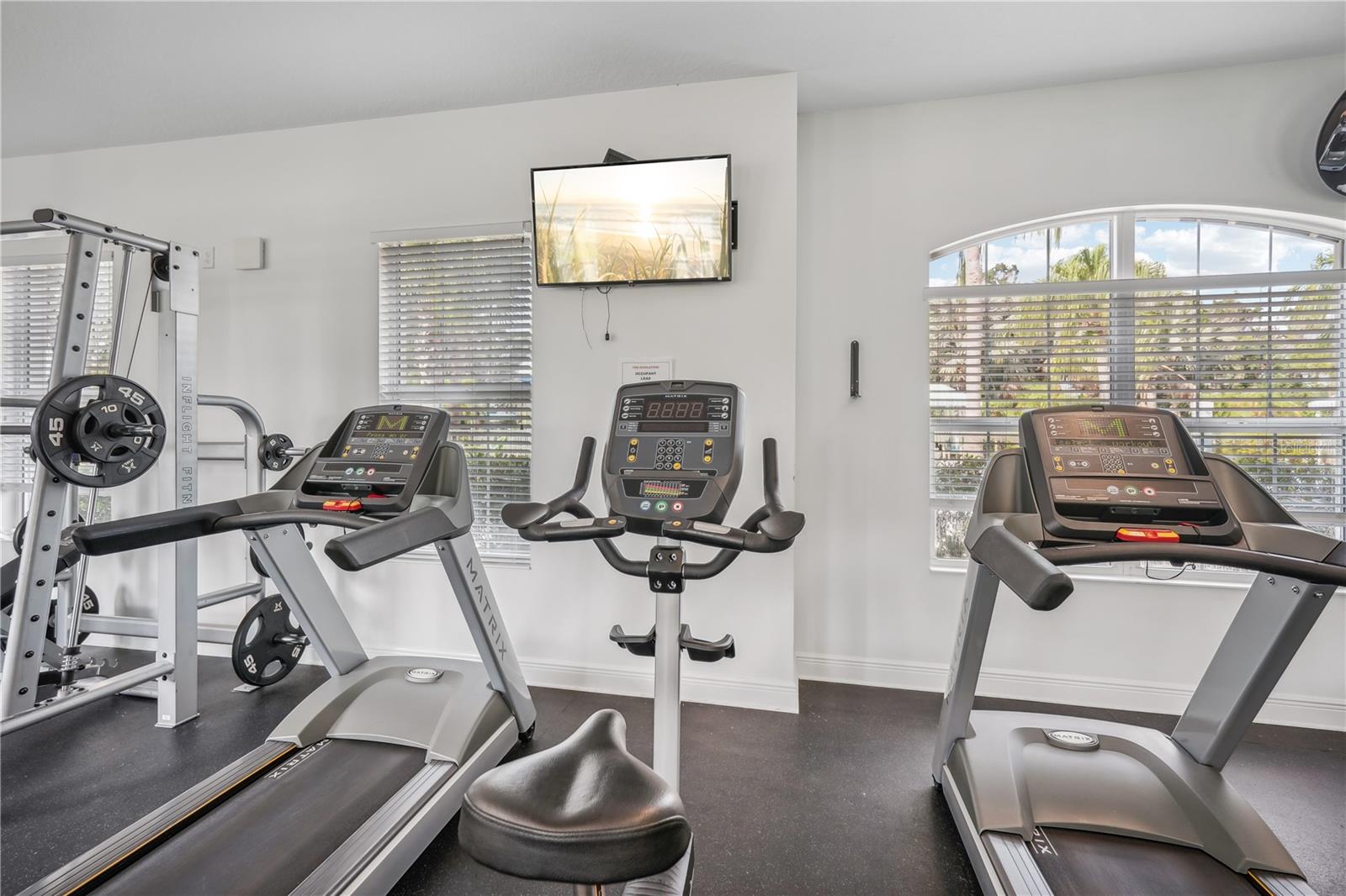 10910 BLUE MAGNOLIA LN, PARRISH, FL, 34219