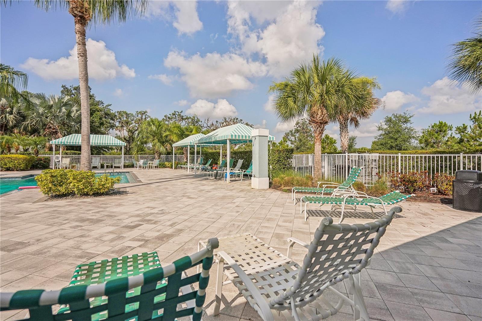 10910 BLUE MAGNOLIA LN, PARRISH, FL, 34219