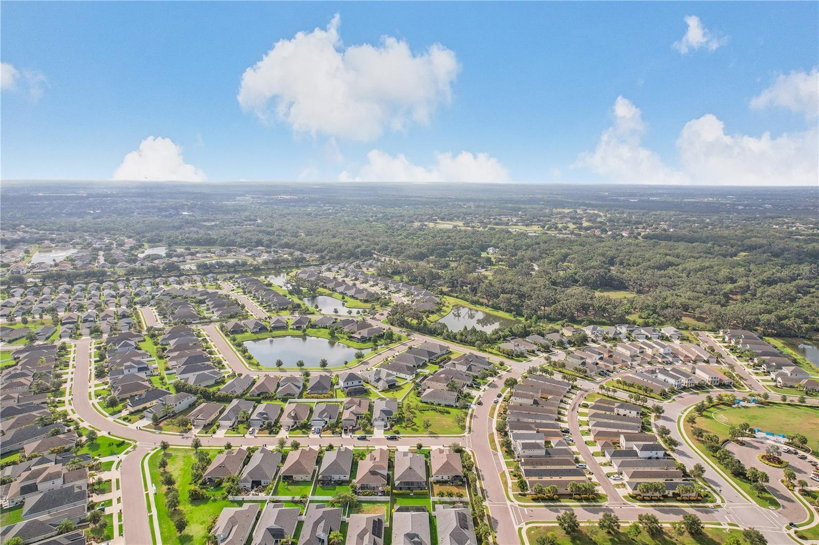 10910 BLUE MAGNOLIA LN, PARRISH, FL, 34219