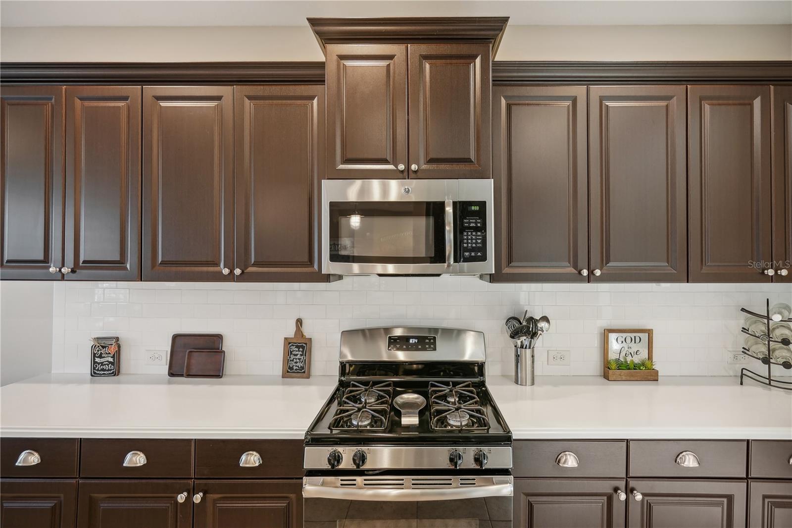 10910 BLUE MAGNOLIA LN, PARRISH, FL, 34219