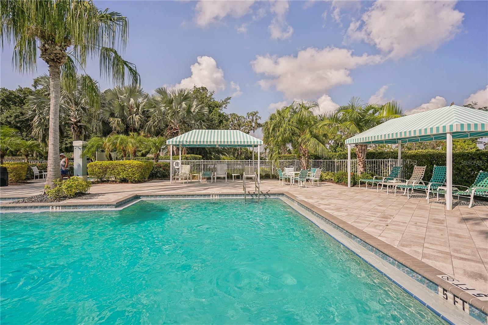 10910 BLUE MAGNOLIA LN, PARRISH, FL, 34219