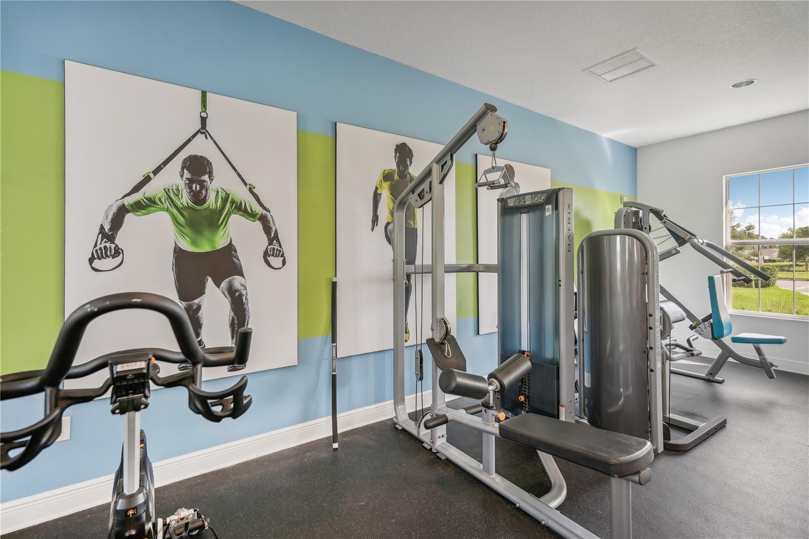 10910 BLUE MAGNOLIA LN, PARRISH, FL, 34219