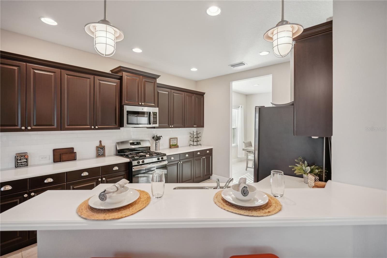 10910 BLUE MAGNOLIA LN, PARRISH, FL, 34219