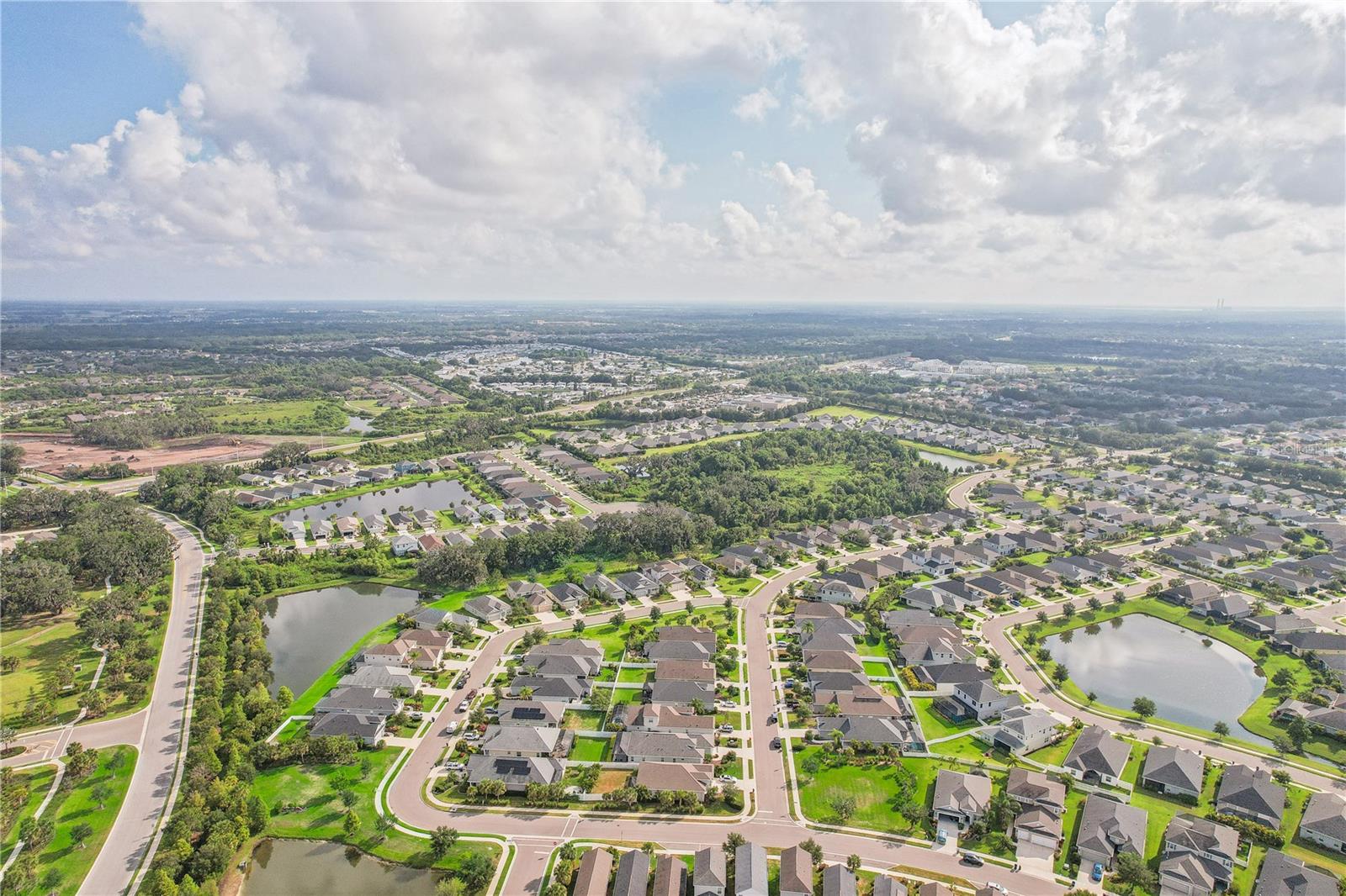 10910 BLUE MAGNOLIA LN, PARRISH, FL, 34219