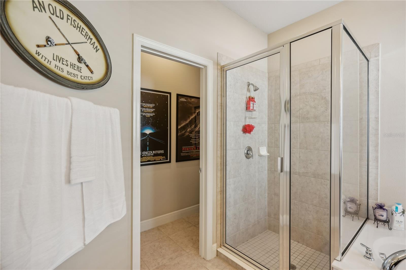 10910 BLUE MAGNOLIA LN, PARRISH, FL, 34219