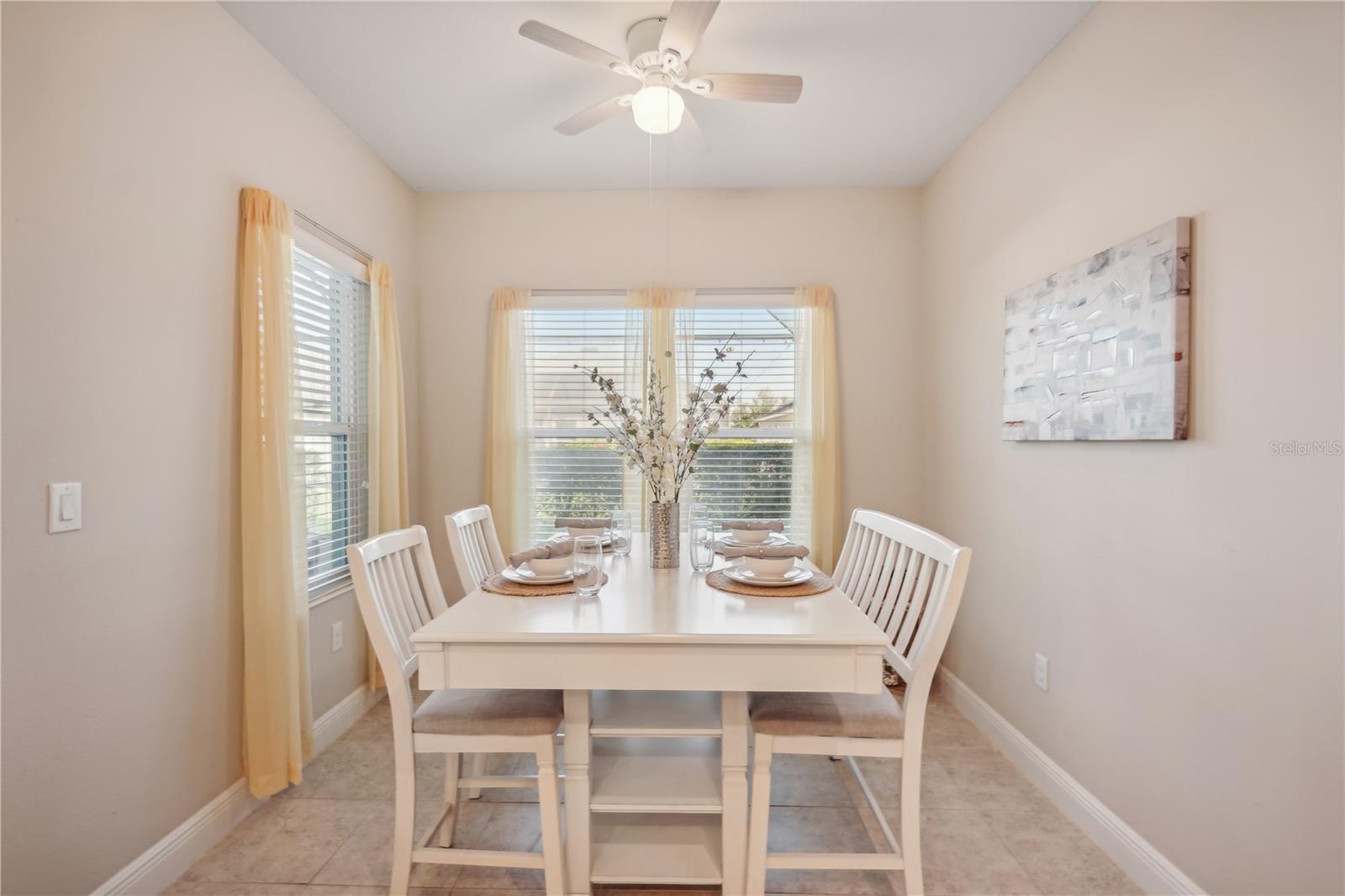 10910 BLUE MAGNOLIA LN, PARRISH, FL, 34219