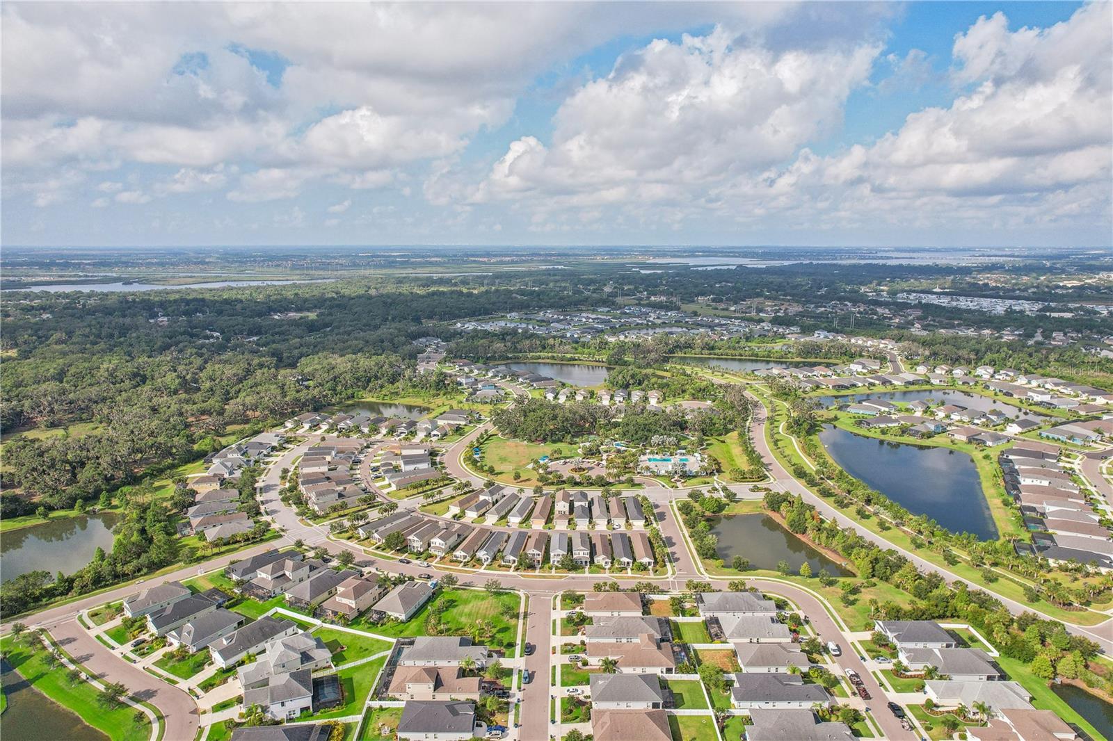 10910 BLUE MAGNOLIA LN, PARRISH, FL, 34219