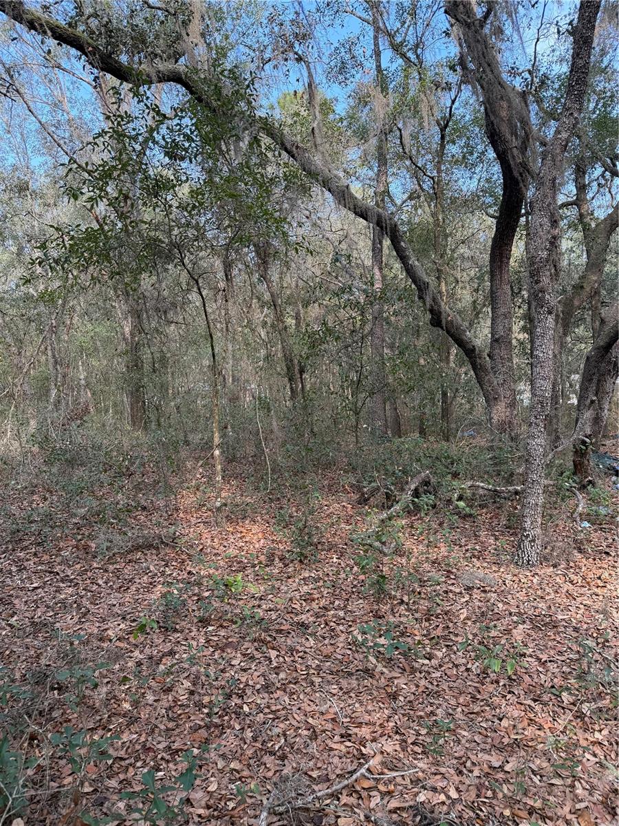 102 DAVID DR, INTERLACHEN, FL, 32148