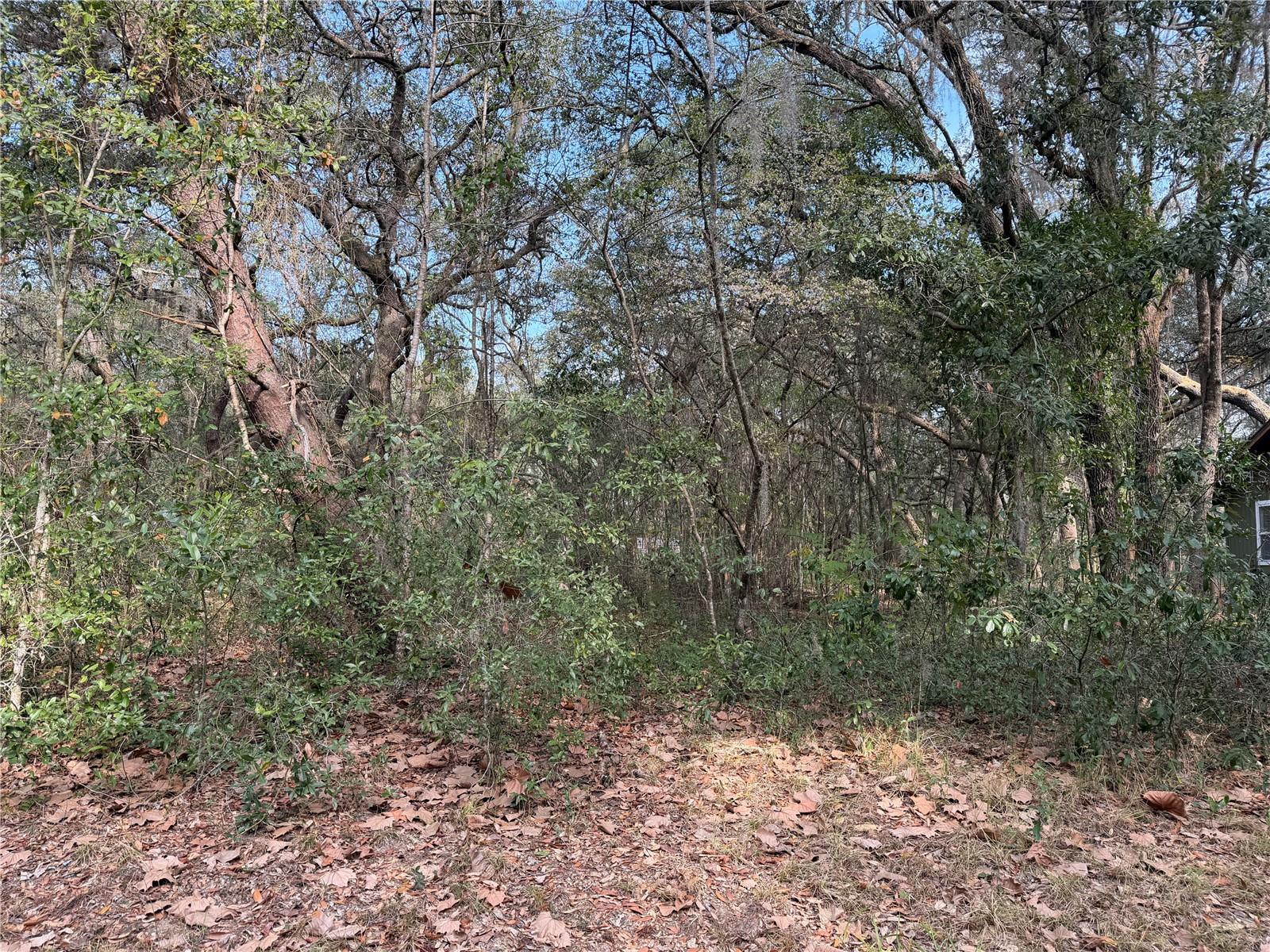 102 DAVID DR, INTERLACHEN, FL, 32148