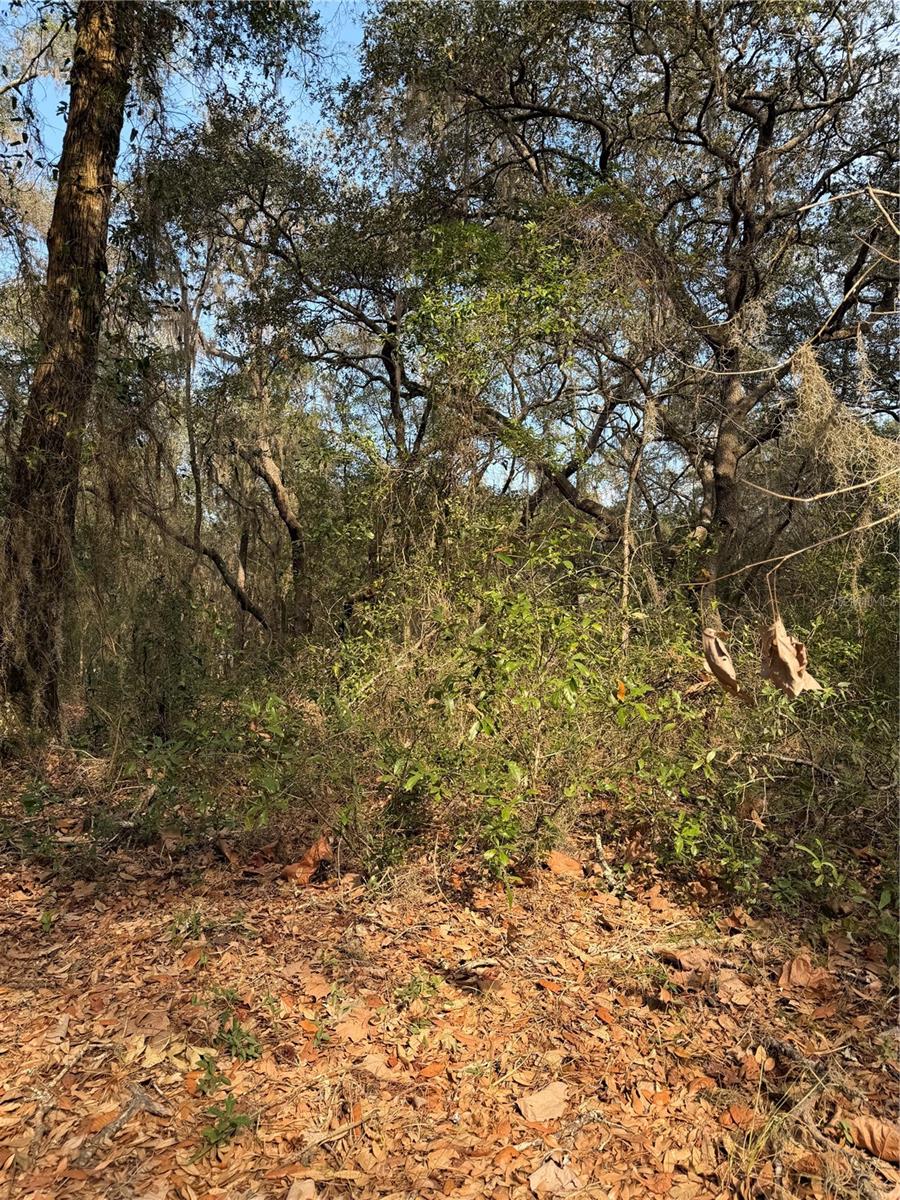 102 DAVID DR, INTERLACHEN, FL, 32148