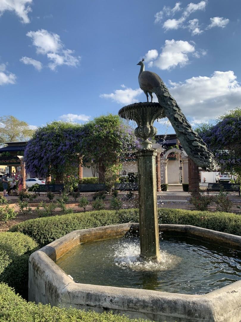 147 S INTERLACHEN AVE #202, WINTER PARK, FL, 32789