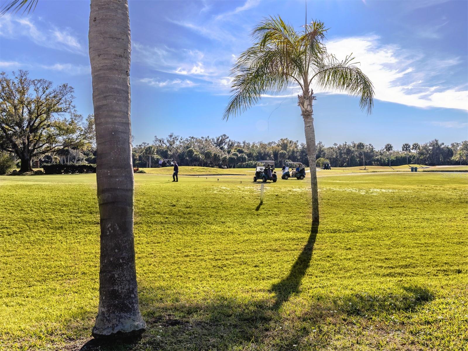 1027 CAPRI ISLES BLVD #20, VENICE, FL, 34292