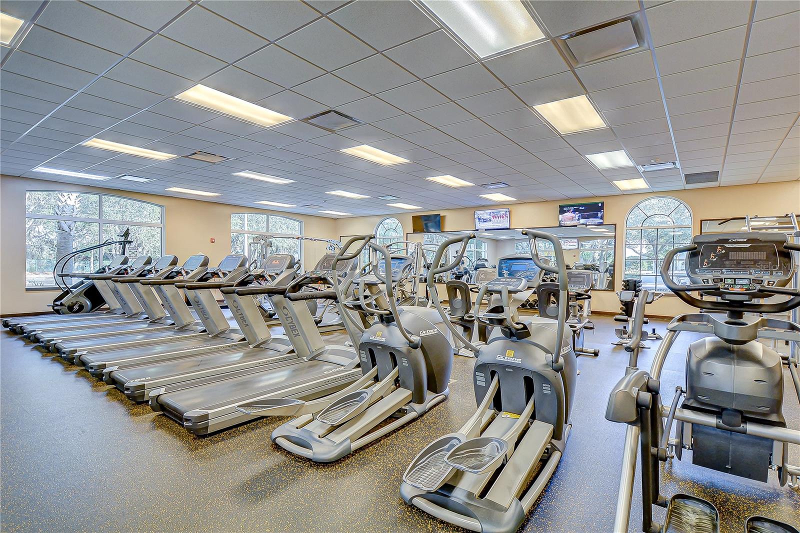 18109 CANAL POINTE ST, TAMPA, FL, 33647