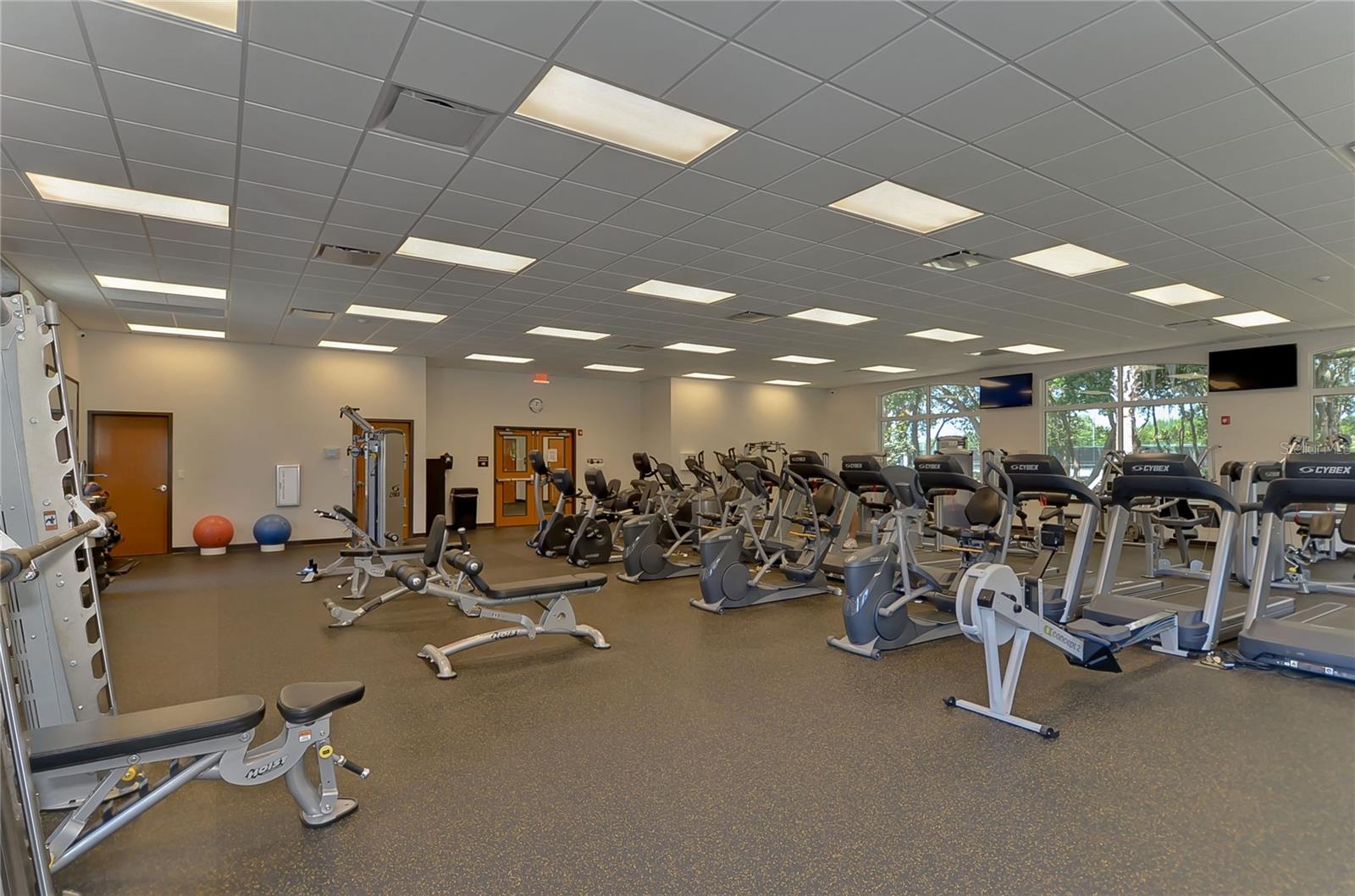 18109 CANAL POINTE ST, TAMPA, FL, 33647