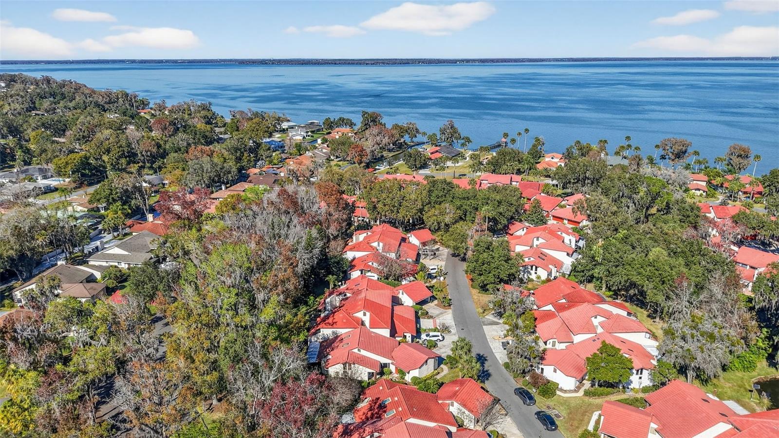 301 CLUSTERWOOD DR, YALAHA, FL, 34797