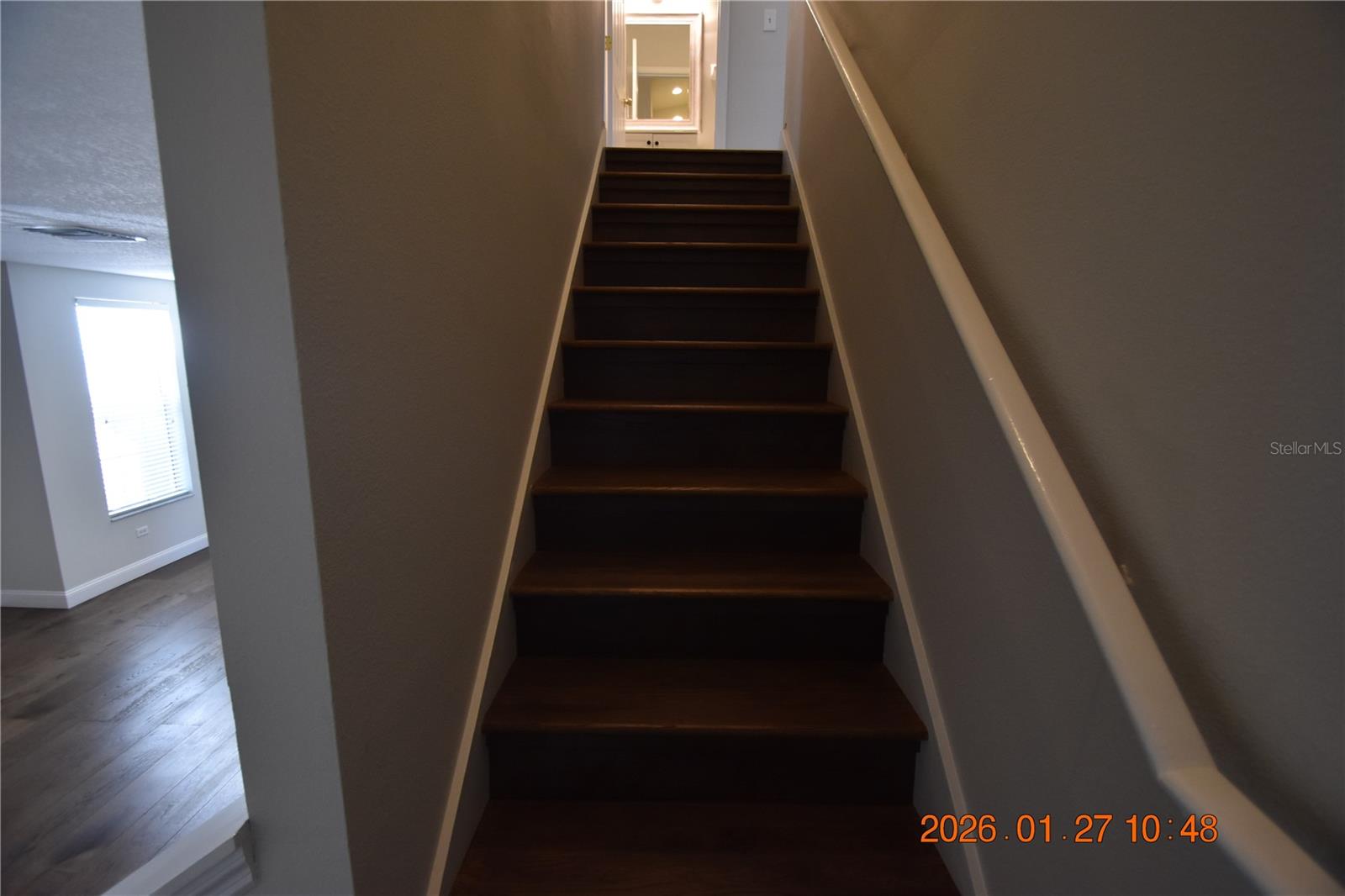 1535 BLUE MAGNOLIA RD, BRANDON, FL, 33510