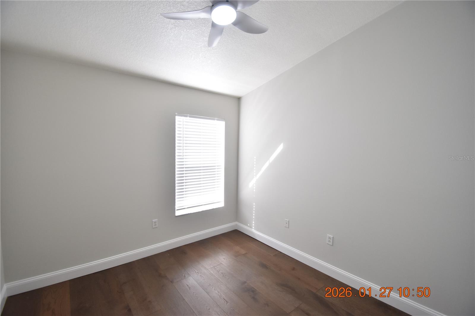 1535 BLUE MAGNOLIA RD, BRANDON, FL, 33510