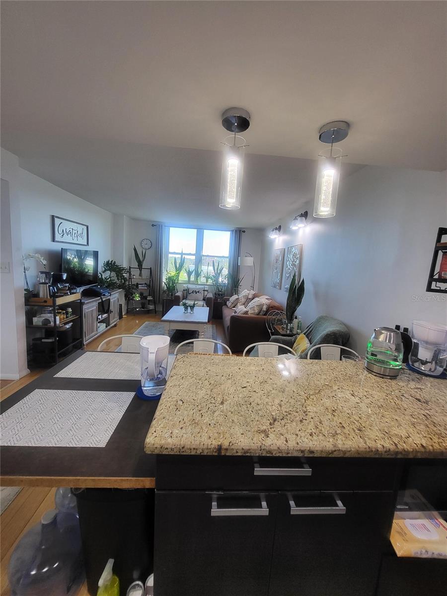 701 S MADISON AVE #414, CLEARWATER, FL, 33756