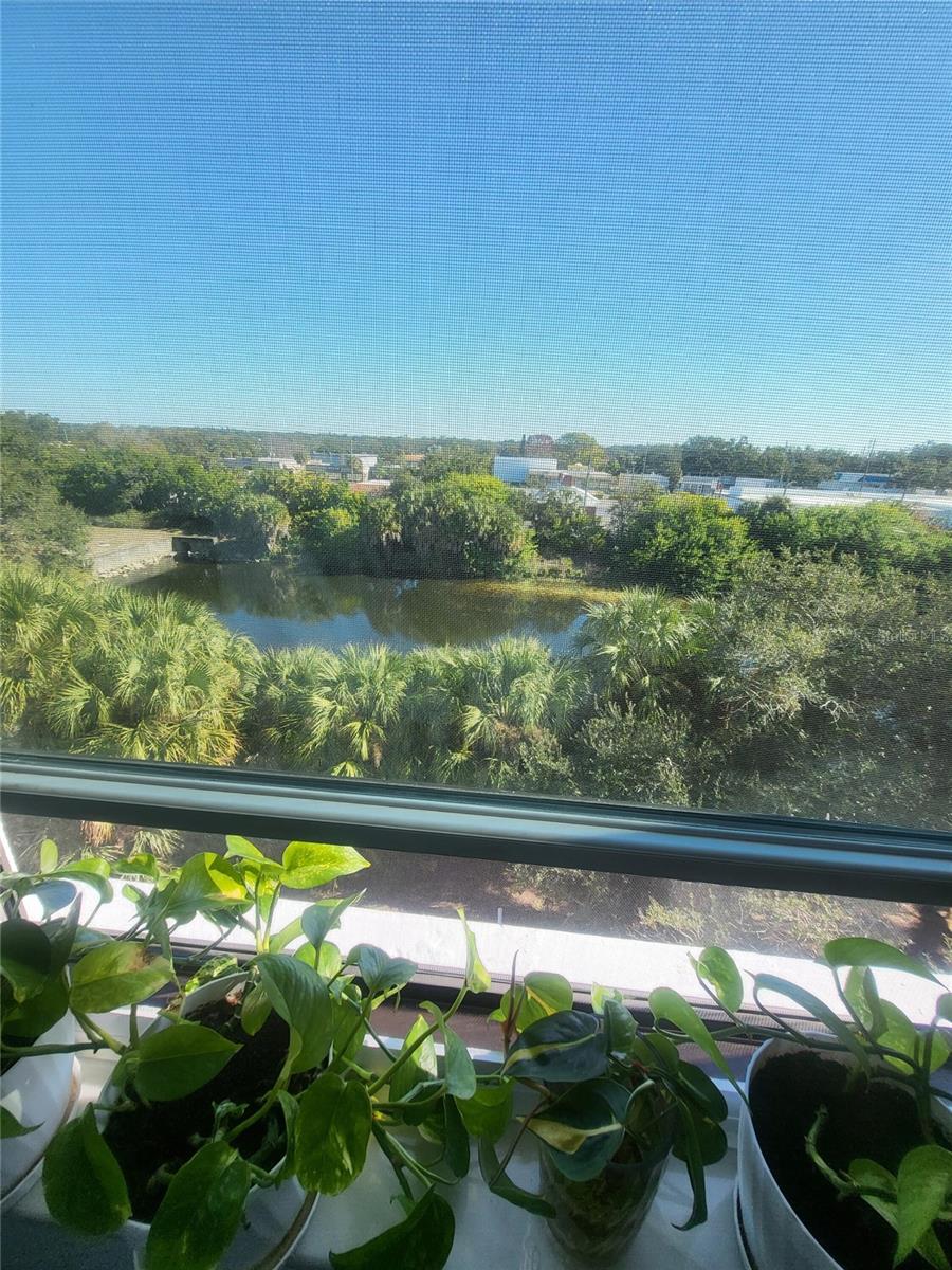 701 S MADISON AVE #414, CLEARWATER, FL, 33756