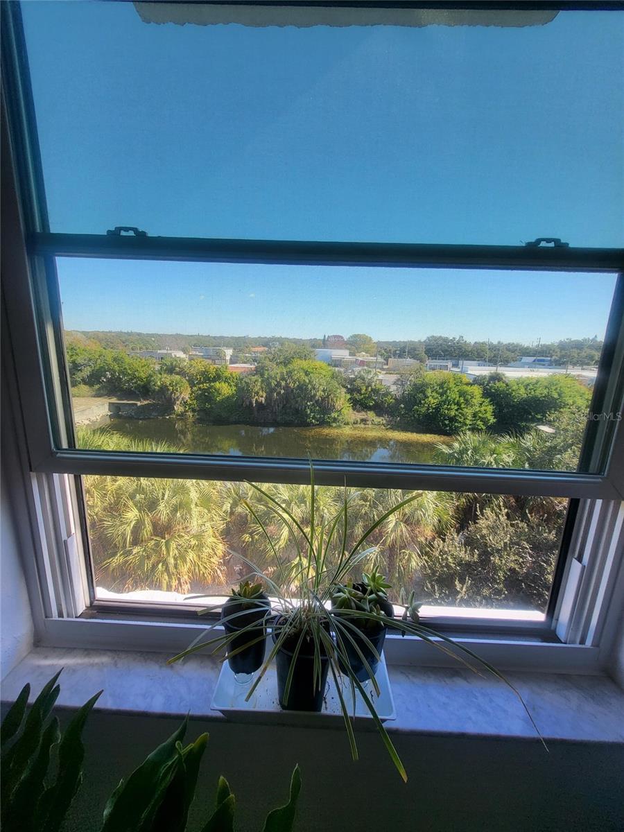 701 S MADISON AVE #414, CLEARWATER, FL, 33756