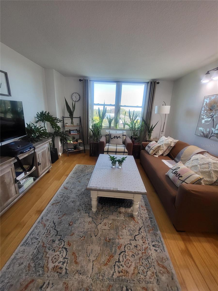 701 S MADISON AVE #414, CLEARWATER, FL, 33756