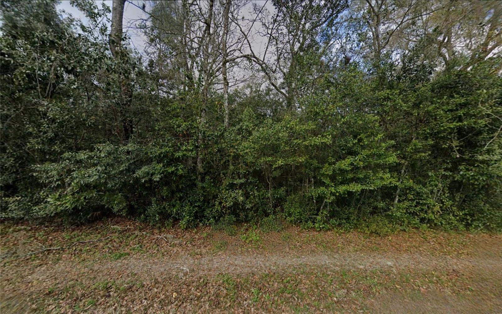 6524 N SOURGUM TER, HERNANDO, FL, 34442