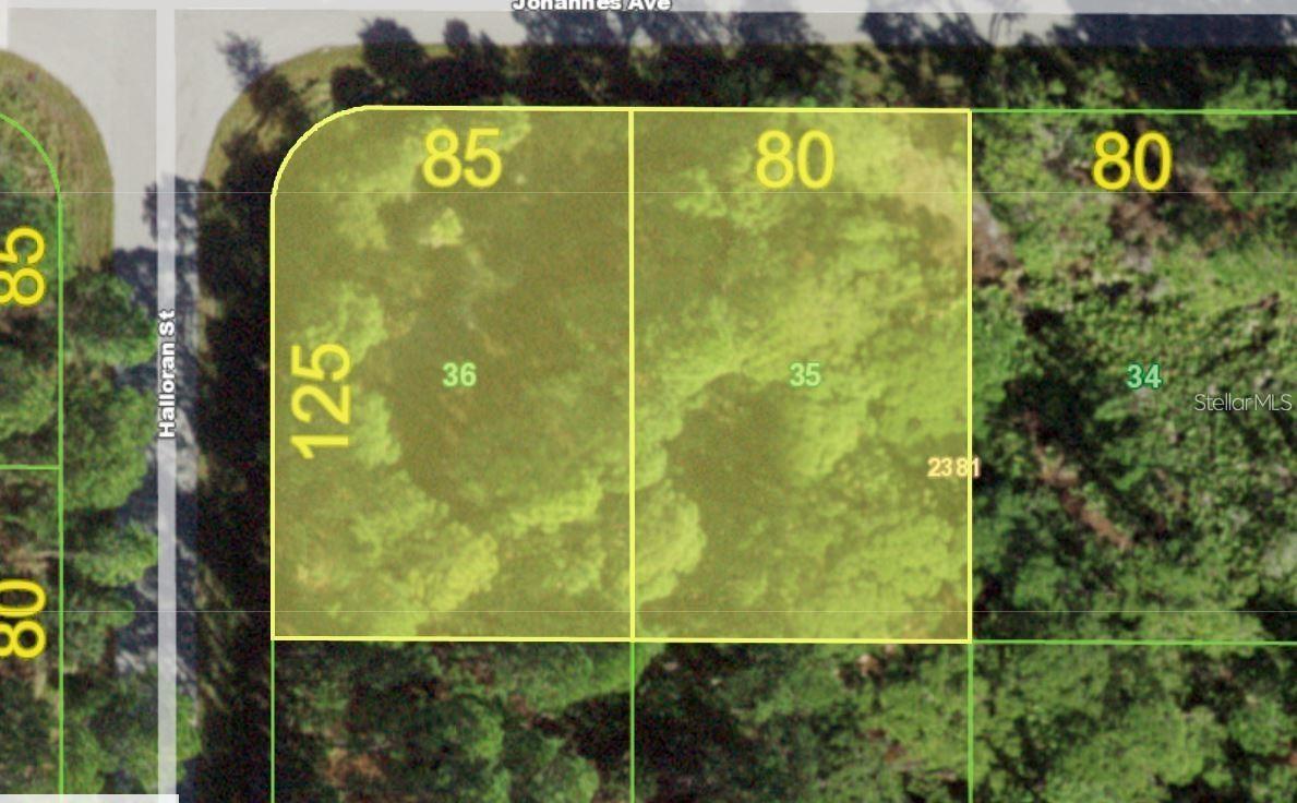 13069-13061 JOHANNES AVE, PORT CHARLOTTE, FL, 33953