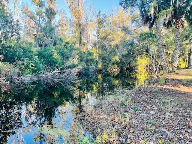 5141 MAGNOLIA RIDGE RD, FRUITLAND PARK, FL, 34731