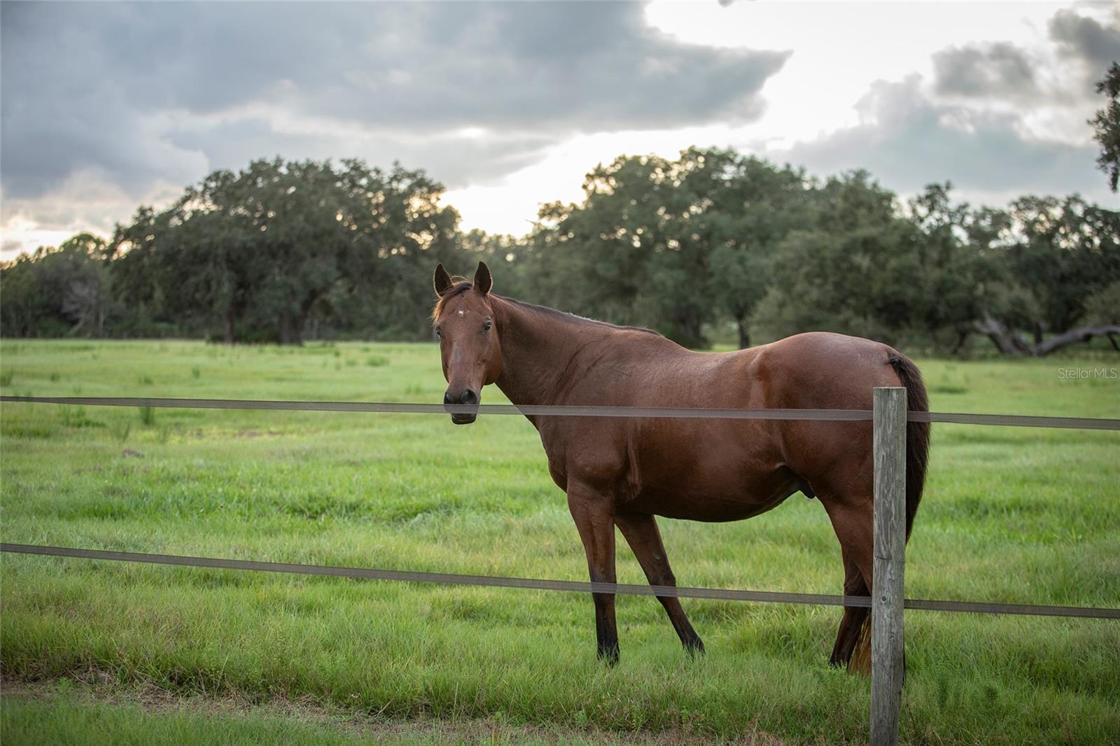 32801 HWY 441 N #10, OKEECHOBEE, FL, 34972