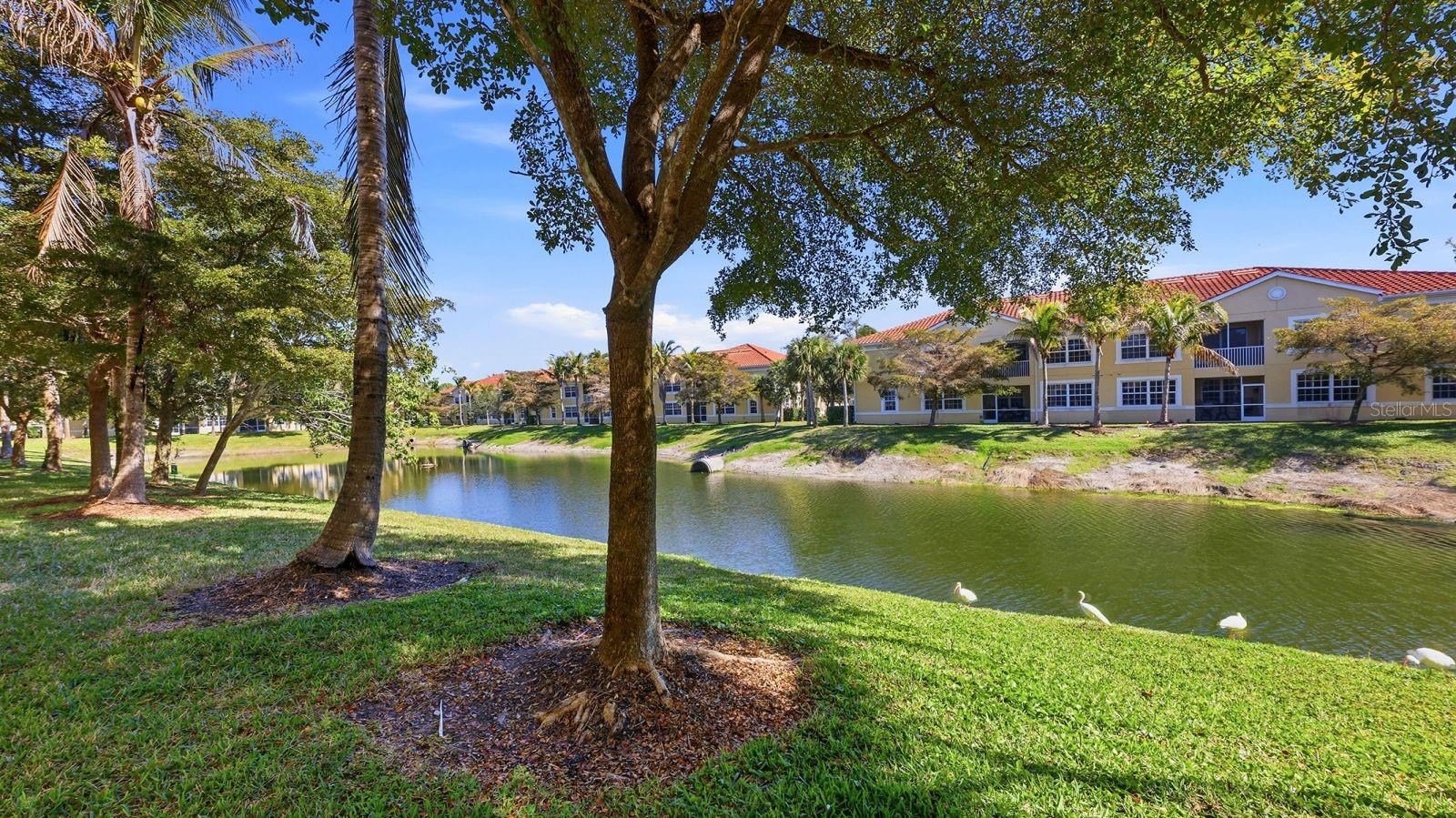 177 NAVIGATION CIR #177, OSPREY, FL, 34229
