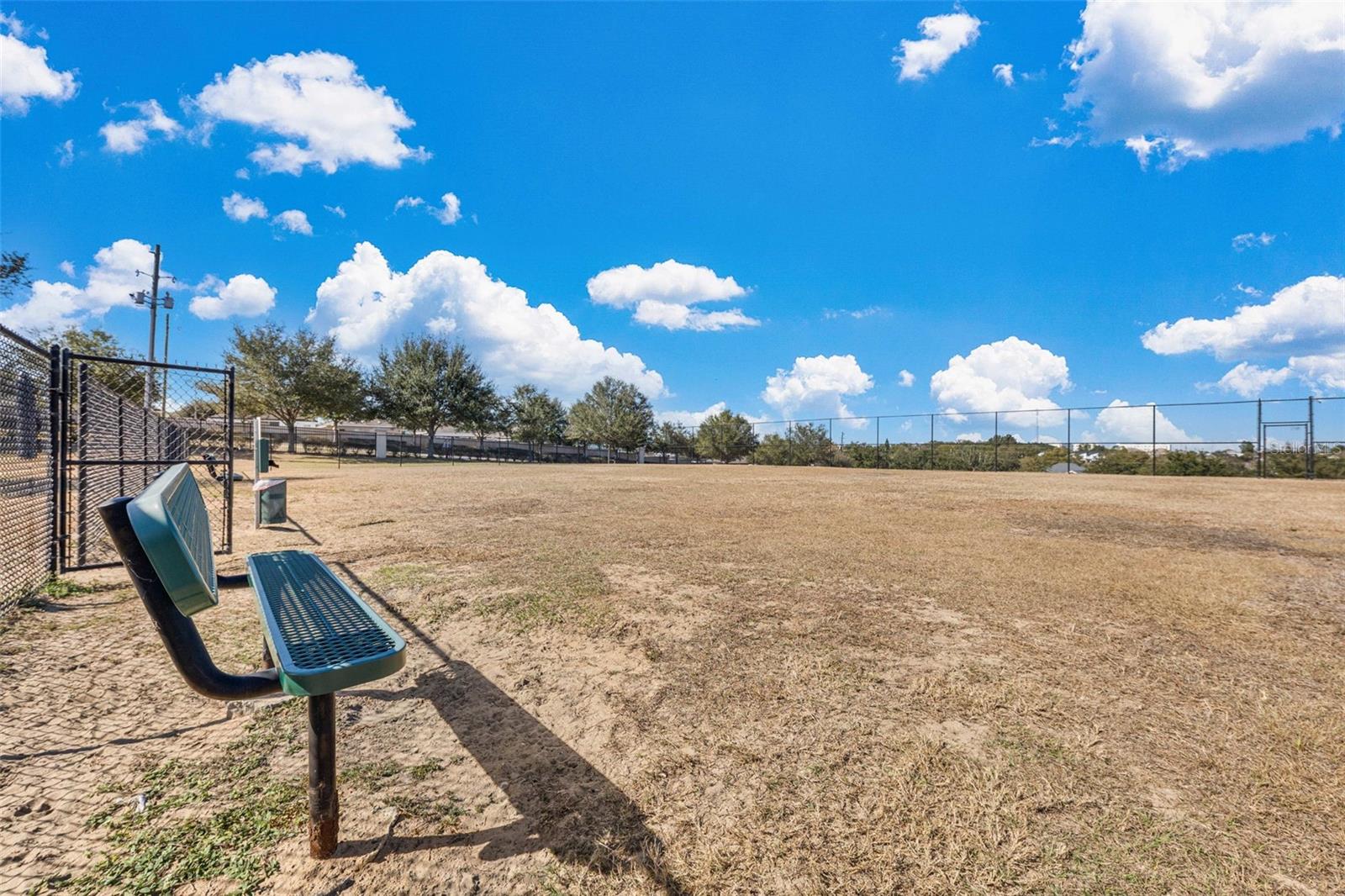 790 GREENSHANK DR, HAINES CITY, FL, 33844