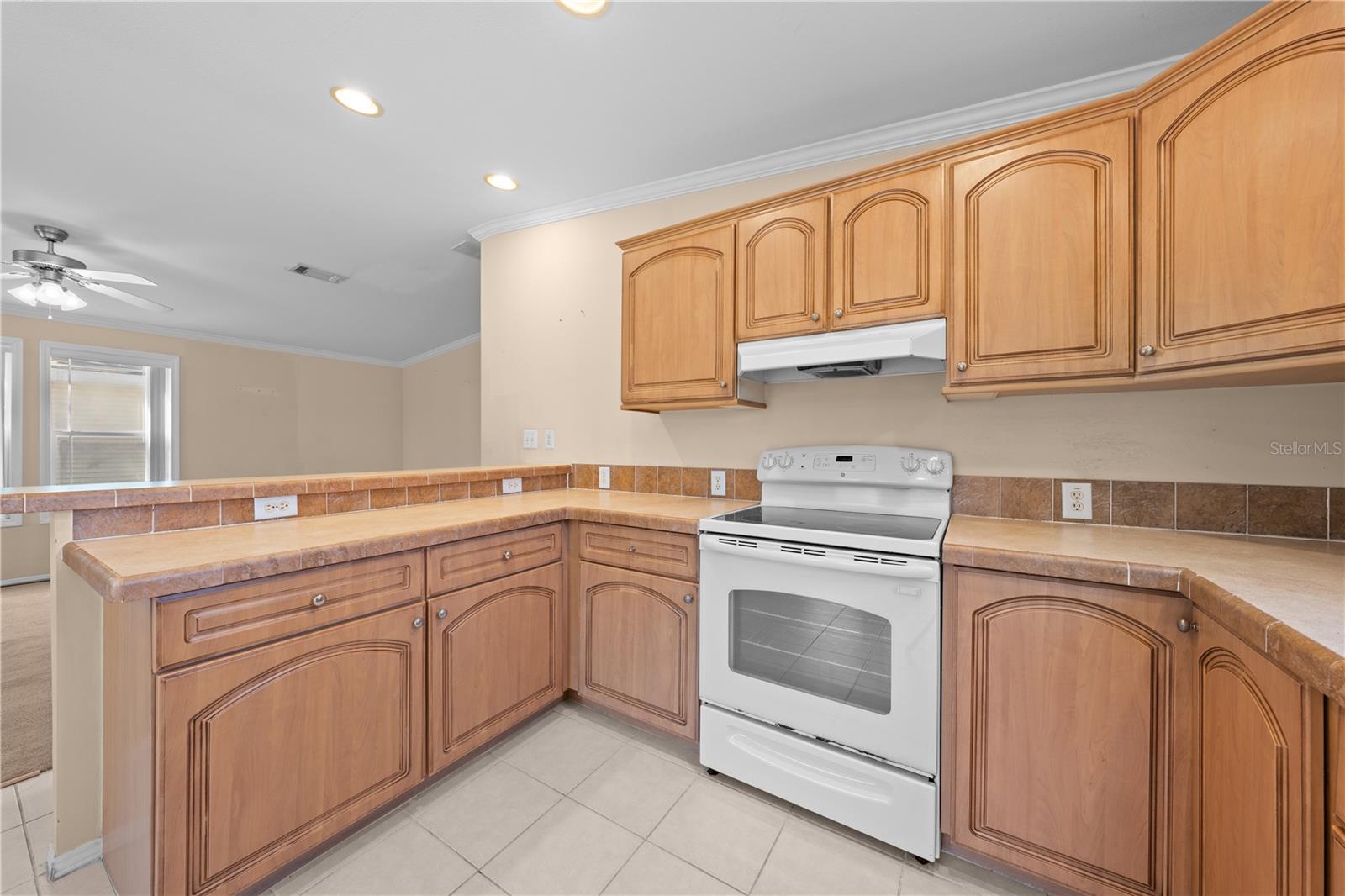 1017 PATRICK ST, KISSIMMEE, FL, 34741