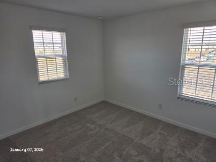 1337 SAWGRASS HAMMOCK LN, DAVENPORT, FL, 33837