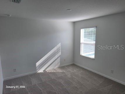 1337 SAWGRASS HAMMOCK LN, DAVENPORT, FL, 33837