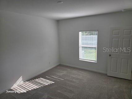 1337 SAWGRASS HAMMOCK LN, DAVENPORT, FL, 33837