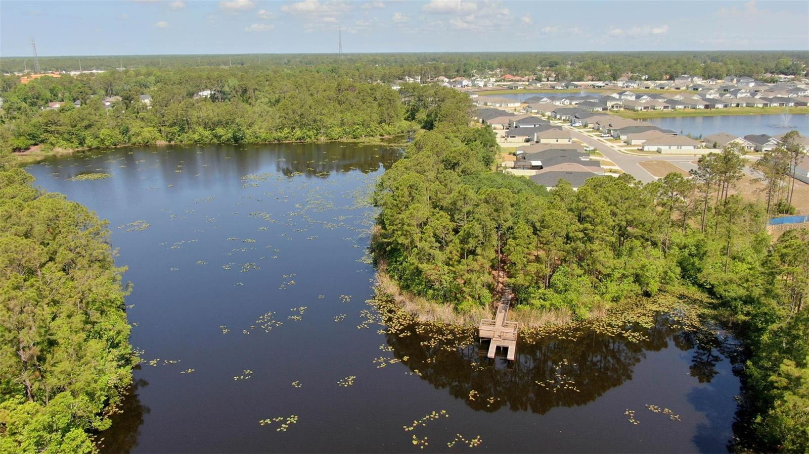 43 WILLOW ST, PALM COAST, FL, 32164