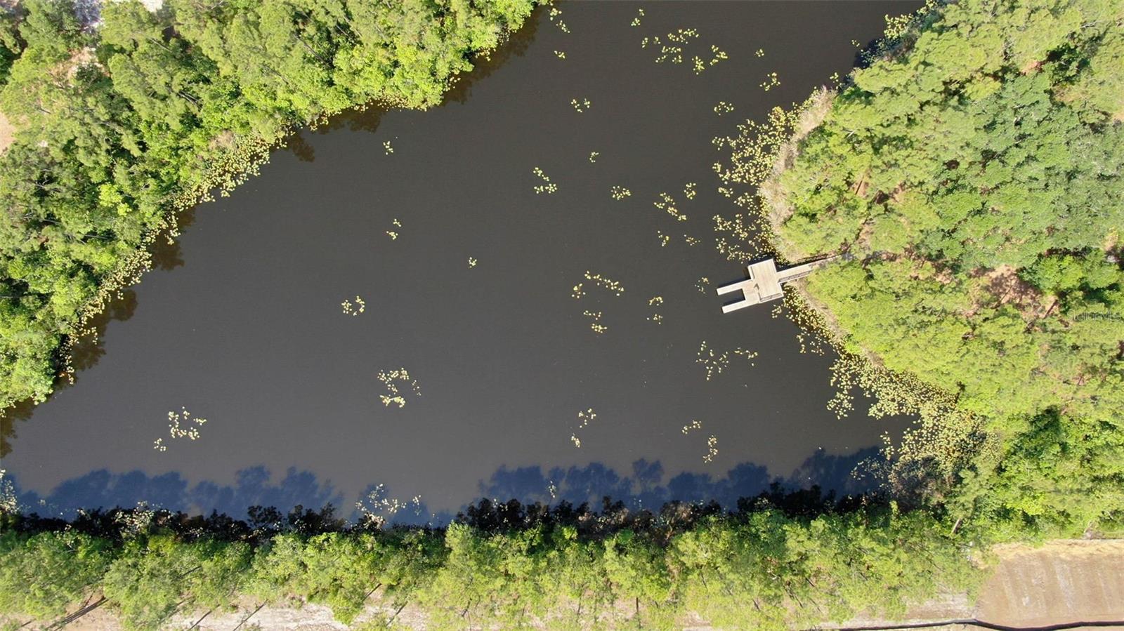 43 WILLOW ST, PALM COAST, FL, 32164