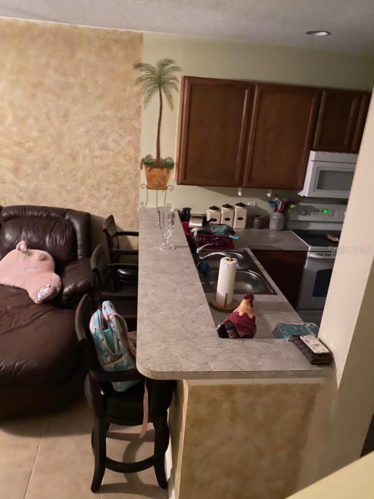 12383 FOXMOOR PEAK DR, RIVERVIEW, FL, 33579